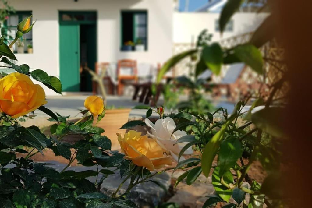 Erofili Cottage House Elounda Buitenkant foto